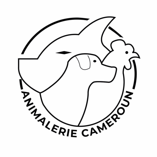 Animalerie Cameroun